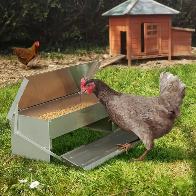 Rat-Proof Treadle Chicken Feeder