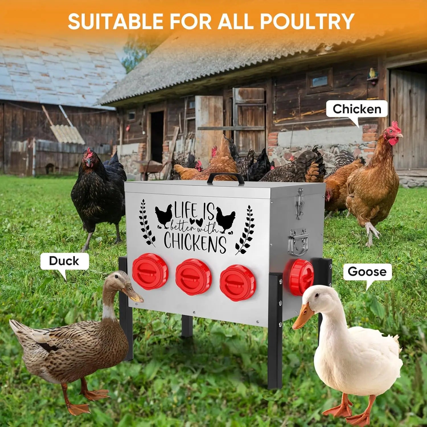Large Automatic Chicken Feeder