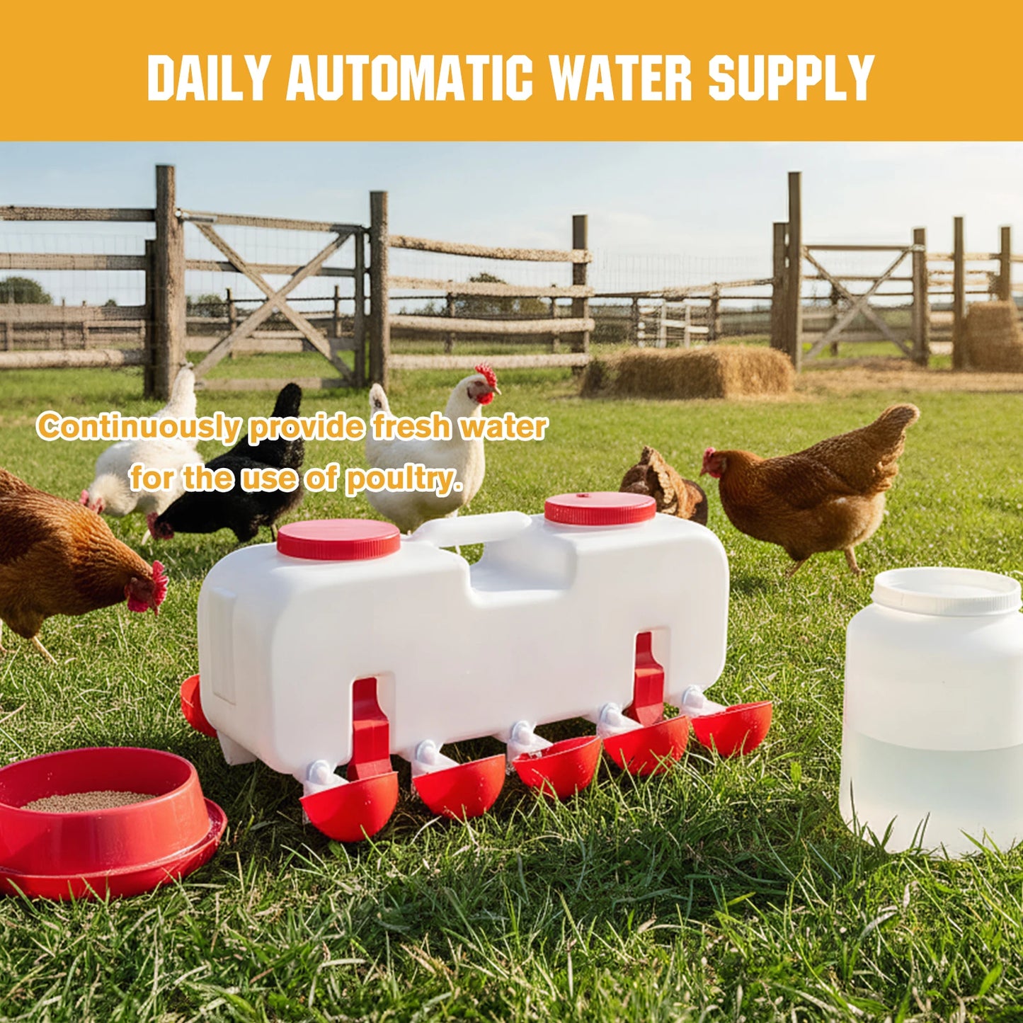 Automatic Chicken Waterer