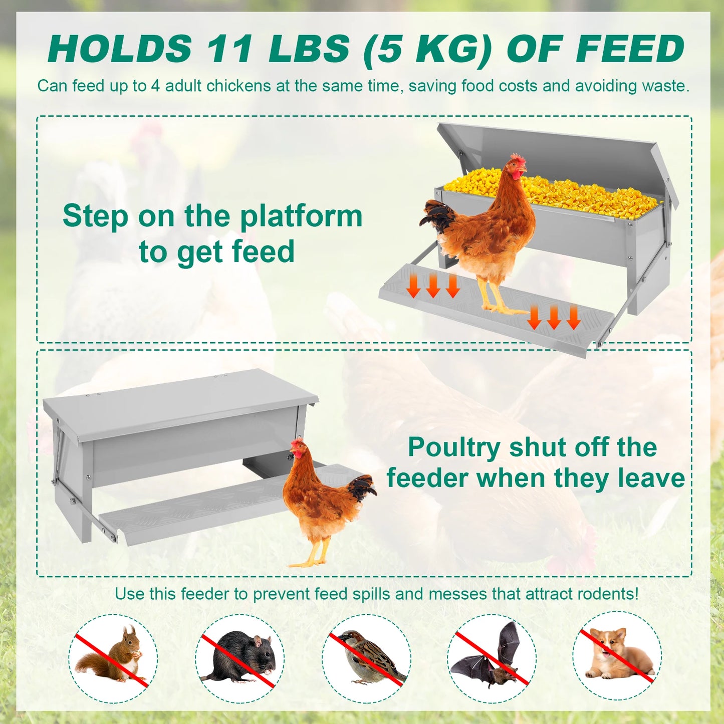 Rat-Proof Treadle Chicken Feeder