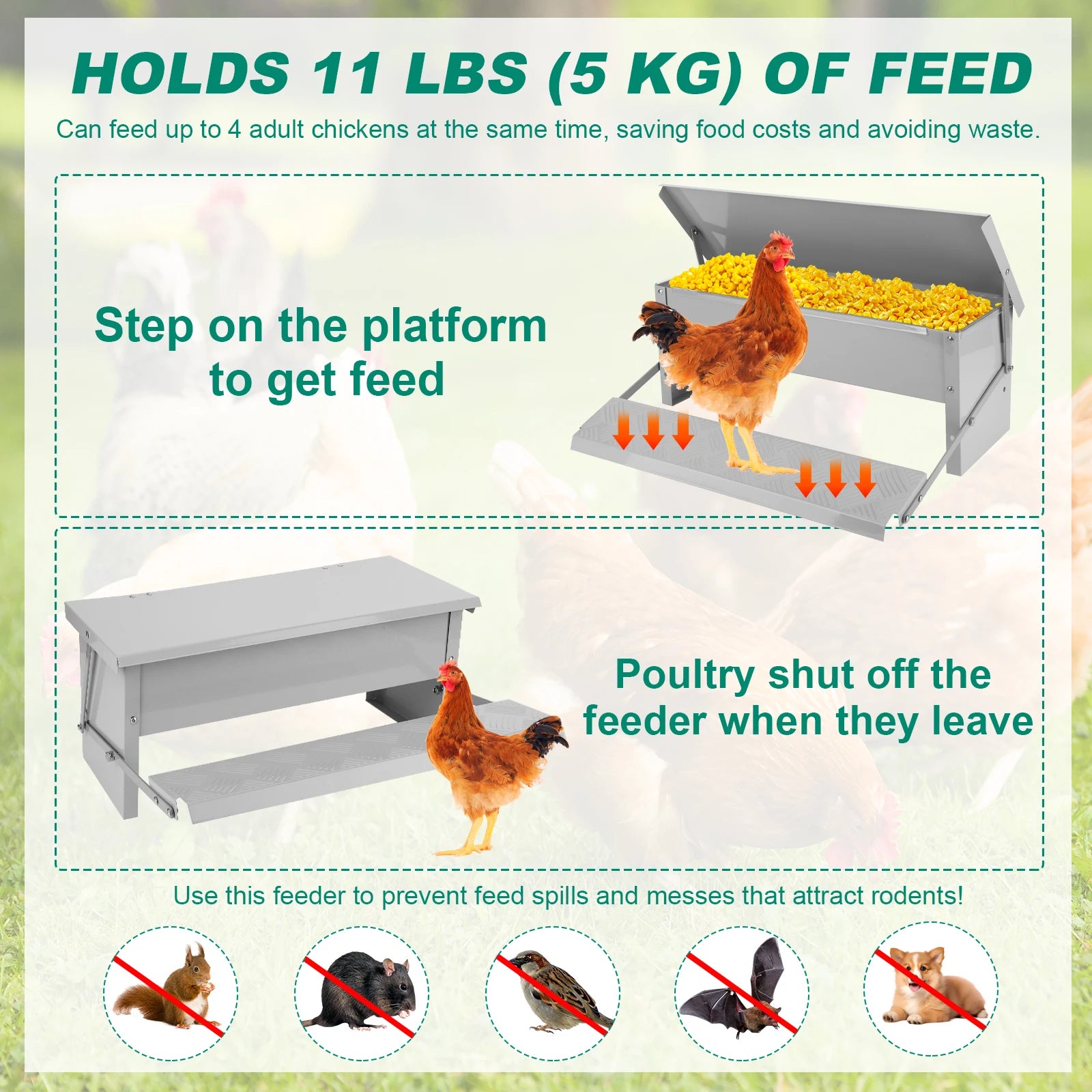 Rat-Proof Treadle Chicken Feeder