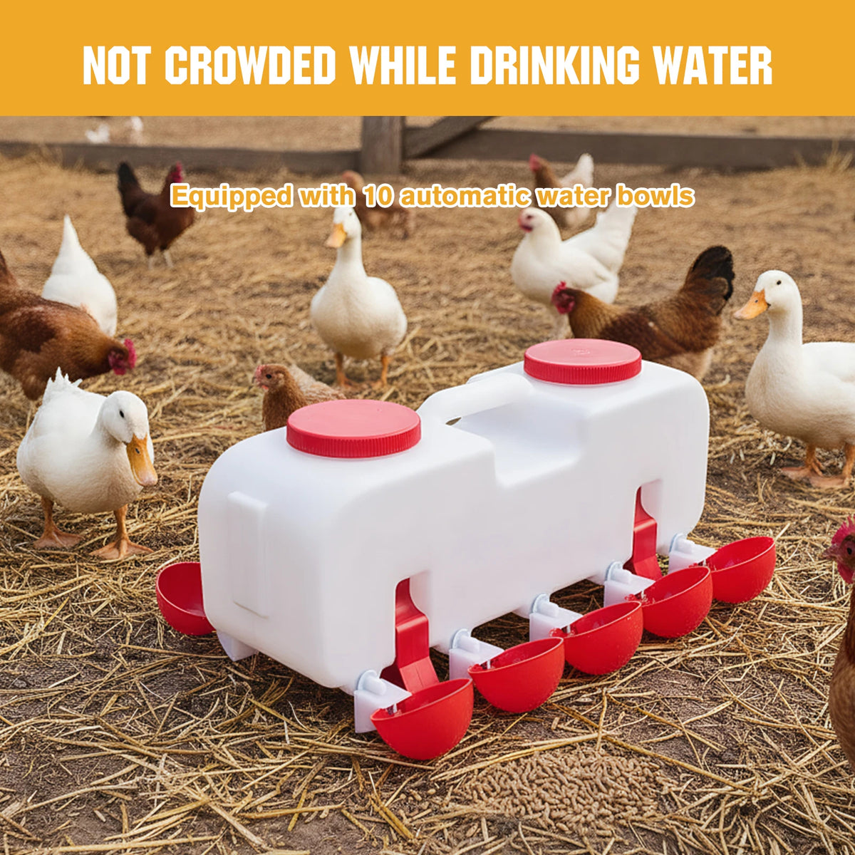 Automatic Chicken Waterer