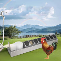 Stainless Steel Chicken Waterer