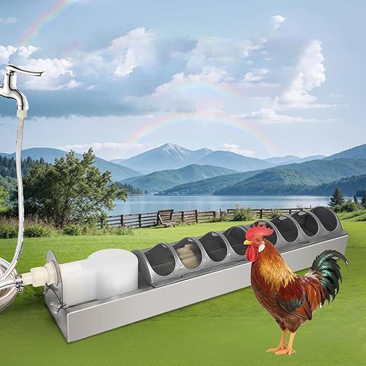 Stainless Steel Chicken Waterer